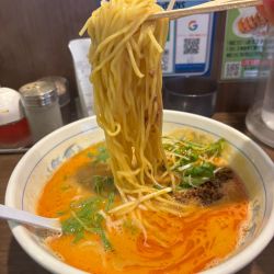 鶏白湯担々麺（850）