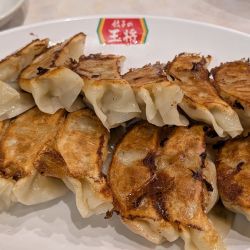 にんにくゼロ生姜餃子（W）