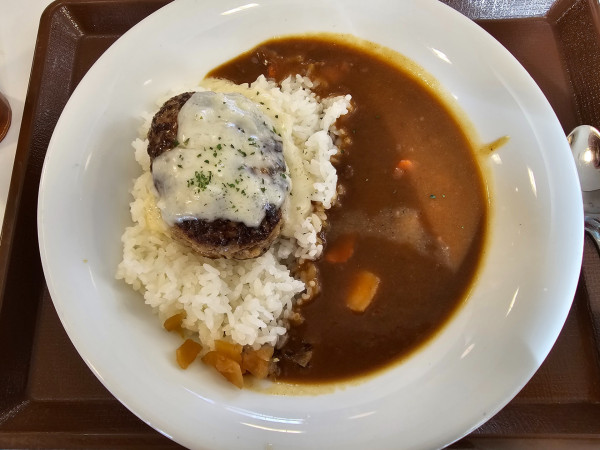 「チーズインハンバーグカレー　890円」@すき家 弘前中野店の写真