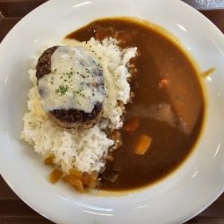 チーズインハンバーグカレー　890円