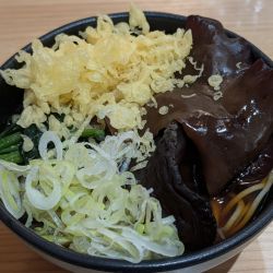 富士ヶ嶽産きくらげのたぬきそば（680円）