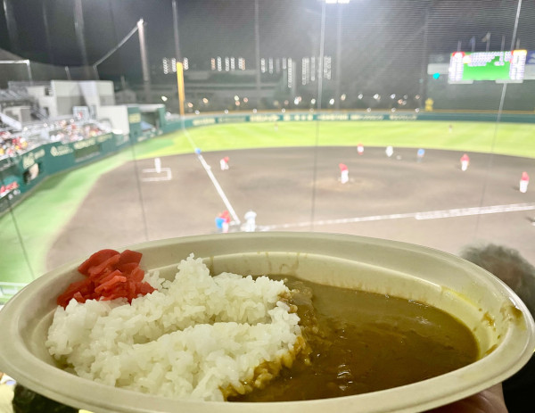 「虎風荘カレー」@虎風荘カレーの写真