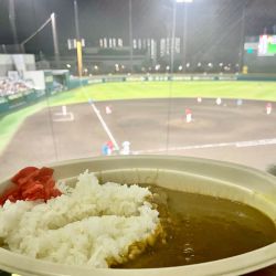 虎風荘カレー