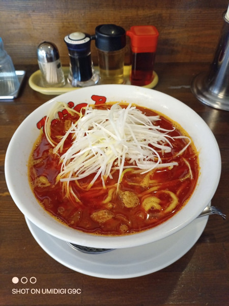 「勝浦タンタンメン 中辛増し」@てっぱつ屋 佐野店の写真