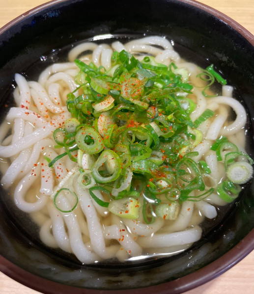 「かけうどん」@うどんそば 恵寿多の写真