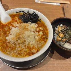 辛中華玉ねぎ　あぶりチャーシュー丼