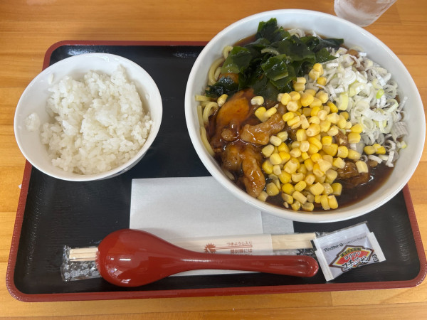 「肉あんかけ麺「冷し」1,000円」@我流食堂総本店の写真