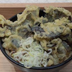 きくらげ天ぷらそば（680円）