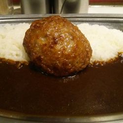 プレーンカレー並 700円＋ハンバーグ 220円
