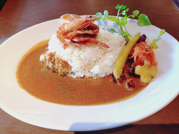 「今週のエスプリカレー　１１００円　※」@イルキャンティ・パラディーソ 西新宿店の写真