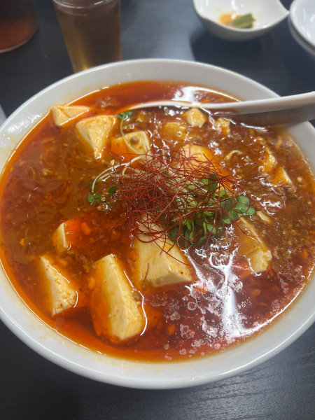 「マーボー麺」@支那そば 晴流家の写真