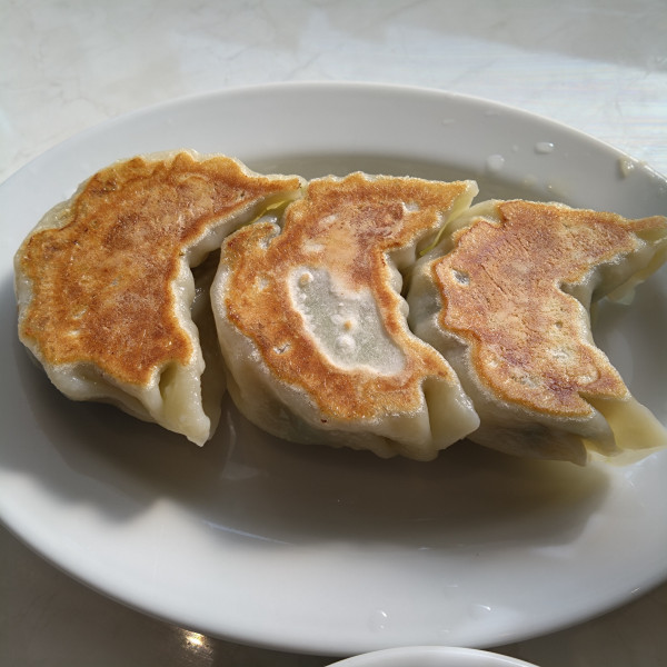 「佐野らーめん830円、餃子3ヶ330円他」@麺屋はやかわの写真