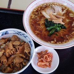 ラーメン科の画像