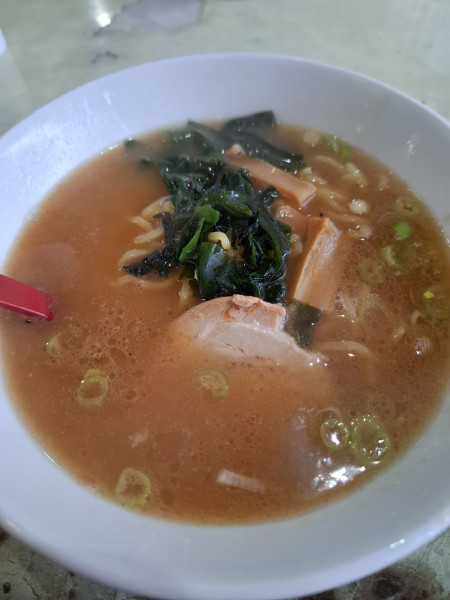 「ラーメン（濃厚しょうゆ）４００円」@藤山屋の写真