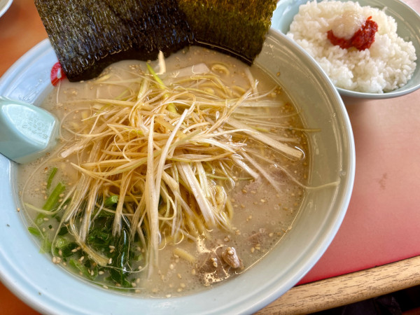「塩 ネギ 大盛」@ラーメン山岡家 さいたま丸ヶ崎店の写真