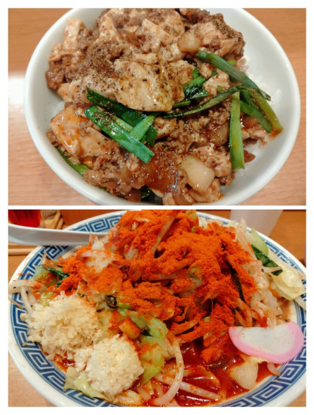 「辛激タンメン辛さ3＋麻婆丼」@トナリ 東陽町店の写真