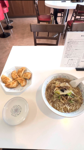 「とんさいラーメン＋とんとん餃子」@宝連の写真
