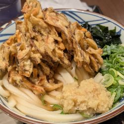 かけうどん（大）、ごぼう天