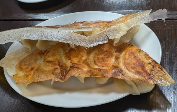 「羽根付き焼き餃子385円」@歓迎の写真