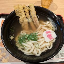 ごぼ天3本うどん529円