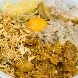 大 汁なし(ブタ1枚入り) 1,250円