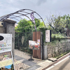 首里茶房 美里うどぅんの画像