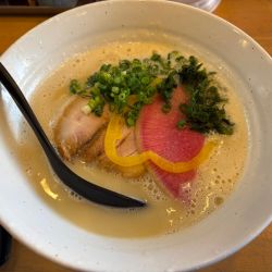 鶏白湯ラーメン　塩