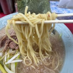 ネギラーメン740円＋中盛り110円＋太麺0円