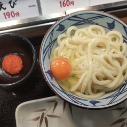 釜玉うどん並 530円