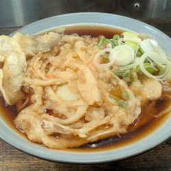 天ぷらそば（480円）