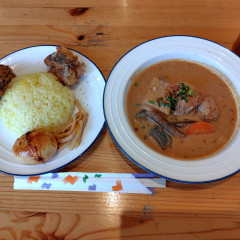 パラキートの画像