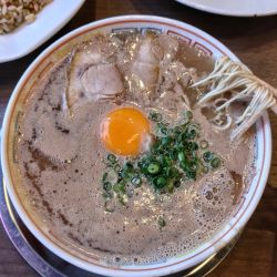 博多だるま 5号線の写真