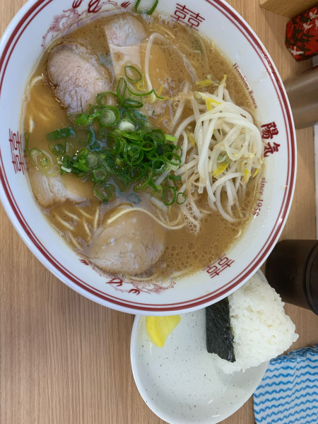 「中華そば 750円」@陽気 江波本店の写真