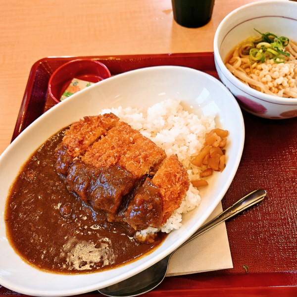 「和風カツカレー＋小はいからうどん冷」@なか卯 北本中丸店の写真