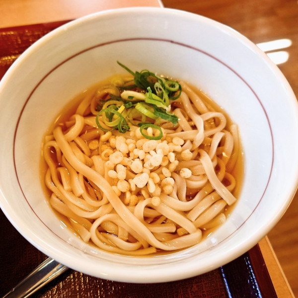 「和風カツカレー＋小はいからうどん冷」@なか卯 北本中丸店の写真