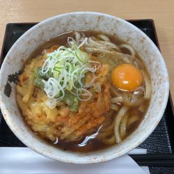 天玉うどん