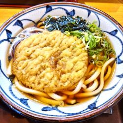 天ぷらうどん（￥530）