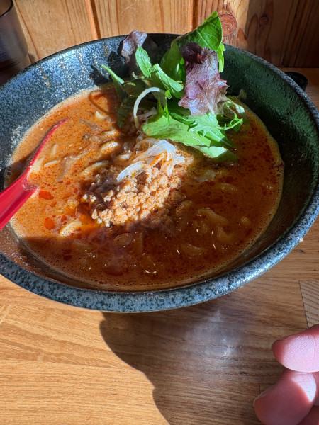 「担々麺大盛り」@担々麺 胡麻の写真