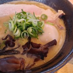 中濃しょうゆとんこつラーメン　青ねぎトッピング