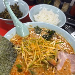 辛味噌　ネギラーメン