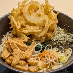 野菜かき揚げそば（580円）、大盛（100円）