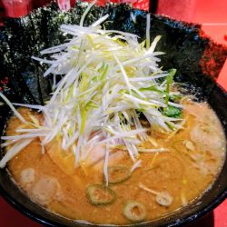 ラーメン(麺硬め･味濃いめ)+海苔･下仁田葱