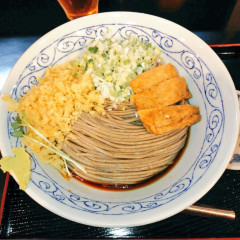 たぬきときつねの画像