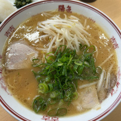 陽気 江波本店の画像