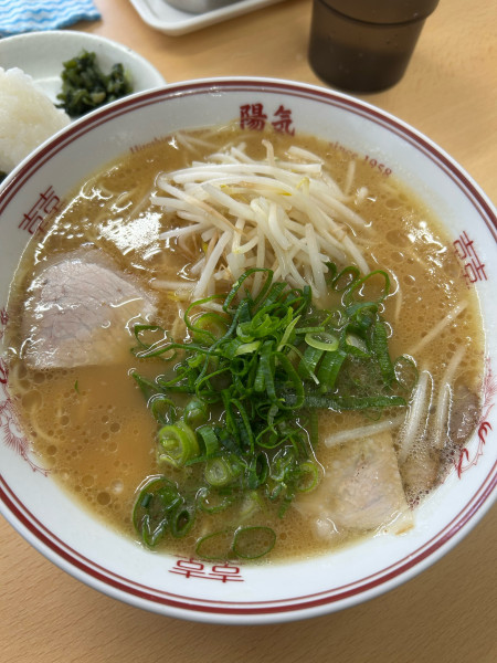 「中華そば」@陽気 江波本店の写真