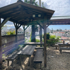 しむじょうの画像