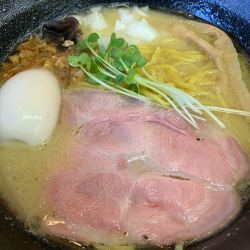 鶏白湯塩(煮卵)コリコリたまご麺