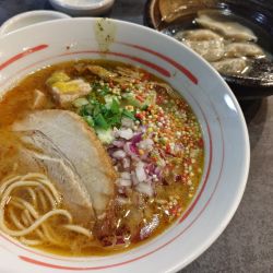 鶏そば（塩）オープン記念500円 水餃子（5個）450円