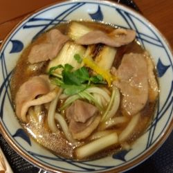 鴨葱うどん