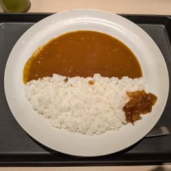 オリジナルカレー（少なめ）530円